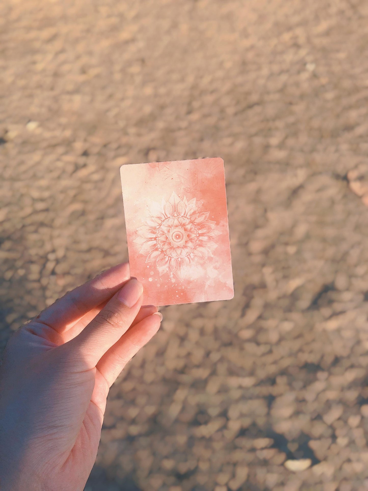 Hand holding a pink card from the Pocket Ritual Card showing the back of the card with the flower design and the size of the card