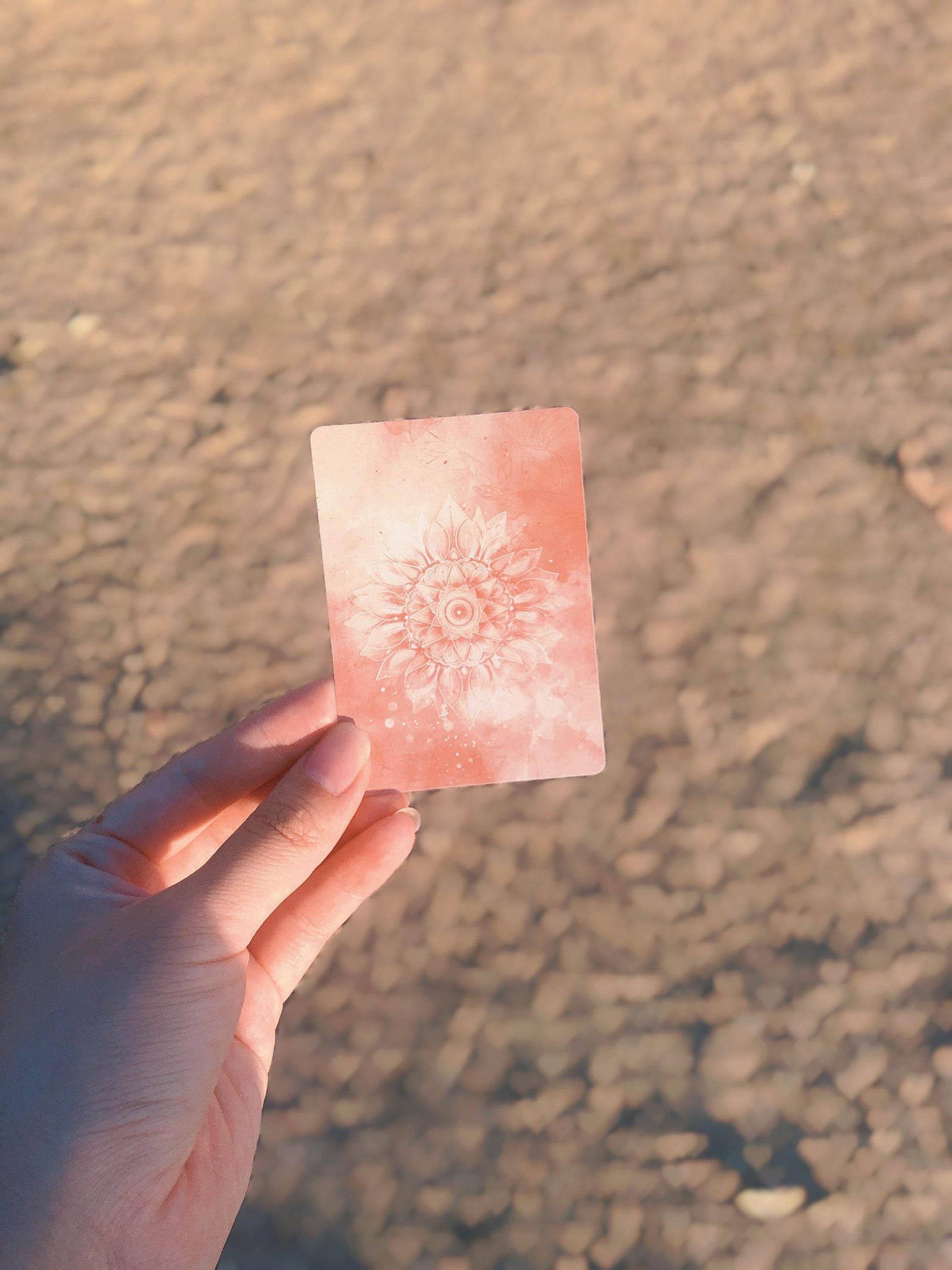 Hand holding a pink card from the Pocket Ritual Card showing the back of the card with the flower design and the size of the card